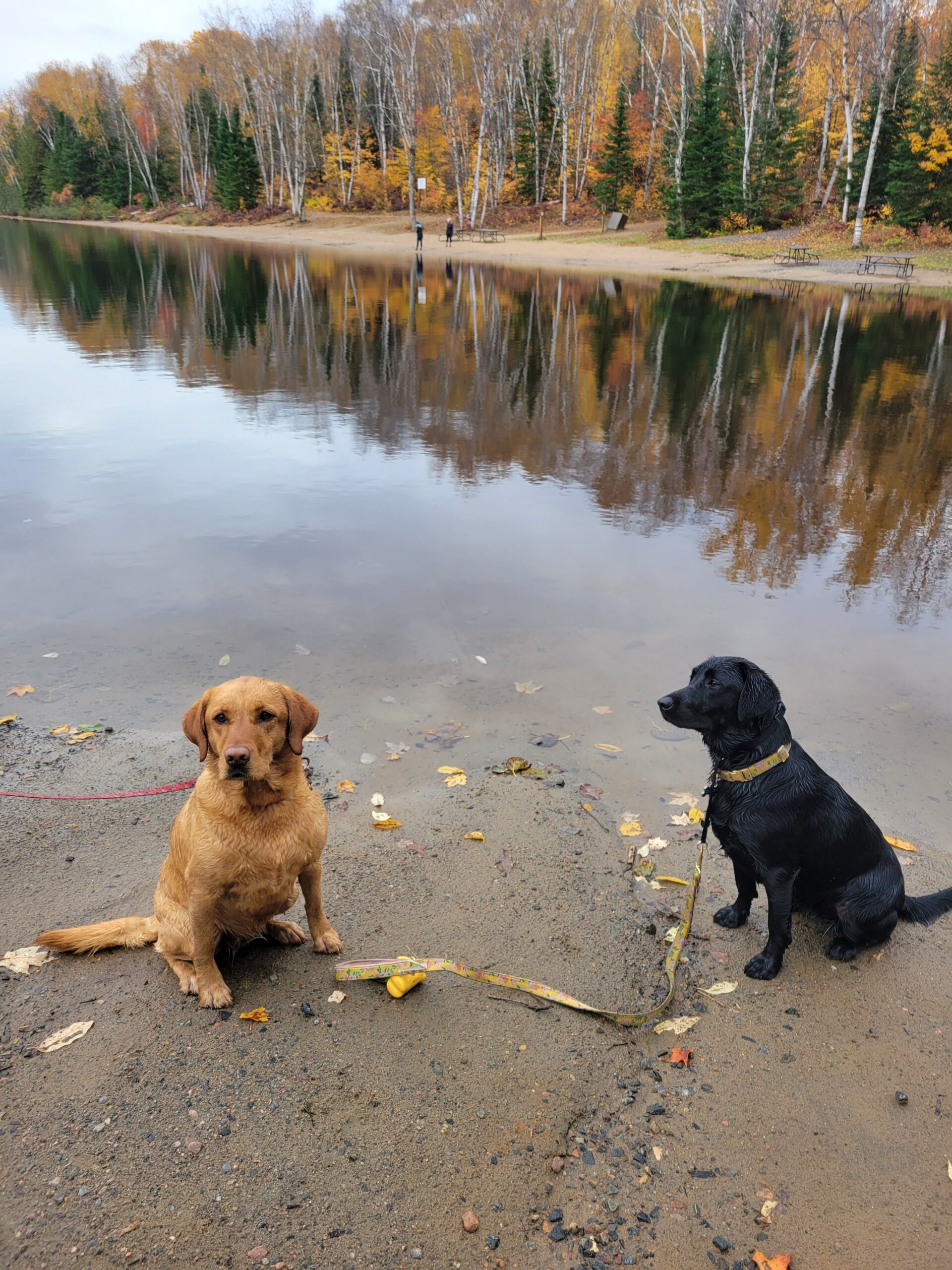 Arrowhead Park - Dog Beach