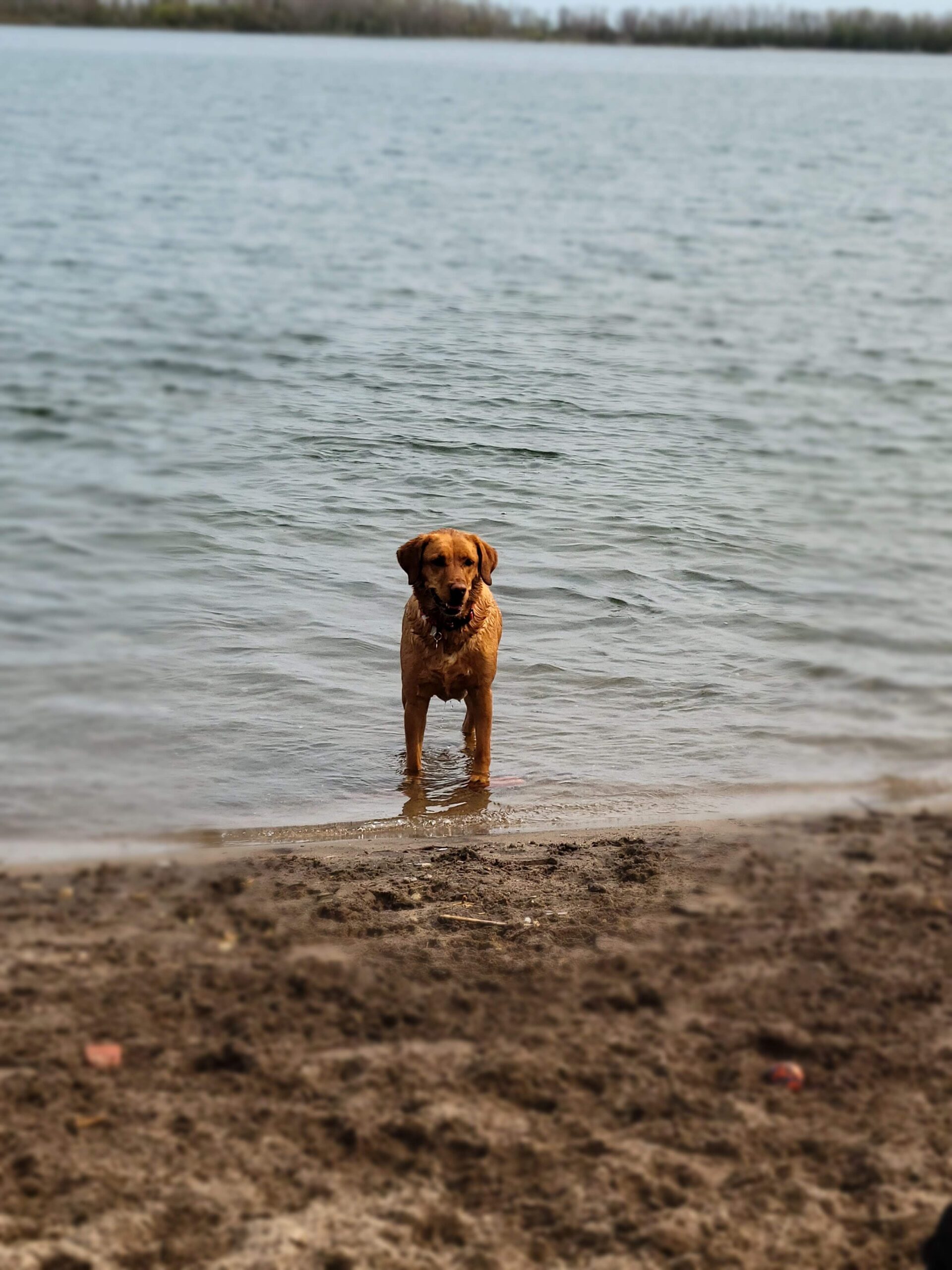 Cherry Beach, Toronto