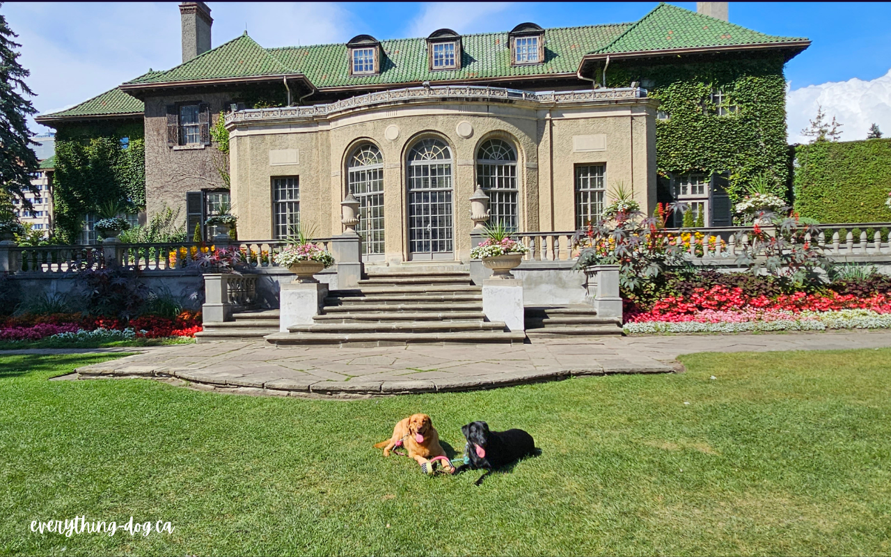 Parkwood Estate with Maze and Nyx