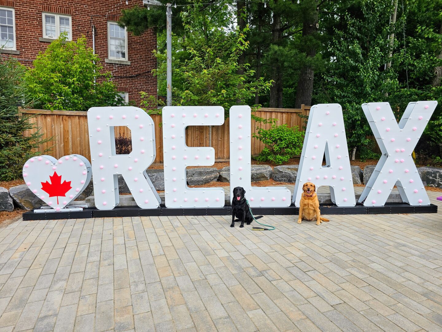 Unforgettable Dog-Friendly Adventures in Huntsville, Ontario